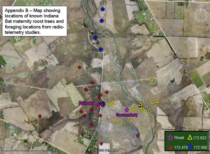 Map of Bat Survey site showing netting stations and significant habitat features